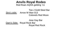 Anvils Royal Rodeo 2011 Red Roan AQHA Gelding