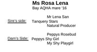 Ms Rosa Lena 2016 Bay AQHA Mare