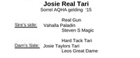 Josie Real Tari 2015 Sorrel AQHA Gelding
