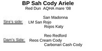 BP SAH Cody Ariele 2008 Red Dun AQHA Mare
