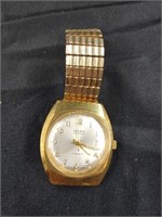 Gruen Precision 17J Men's Wrist Watch