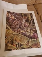 OCELOT PRINT - SIGNED RICHARD EVANS YOUNGER