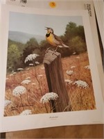 MEADOWLARK PRINT SIGNED BY DON ECKELBERRY