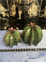 Pair of Flowering Barrel Cactus, 9" & 7"