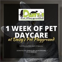 1 Week of Pet Daycare