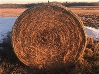 First Cut Alfalfa Hardcore Bales