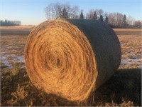 First Cut Meadow Brome (90%) & Alfalfa (10%)