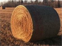 Combined Timothy Grass Hardcore Bales