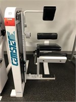 CAMSTAR Spinal Extension Machine