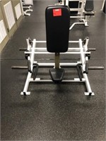 Hammer Strength Standing/Seated Shrug Machine