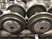 Pair of Troy 35LB Weights