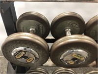 Pair of Troy 45LB Weights