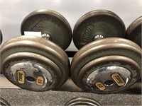 Pair of Troy 55LB Weights