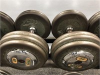 Pair of Troy 60LB Weights