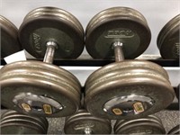 Pair of Troy 65LB Weights