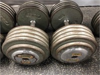 Pair of Troy 95LB Weights