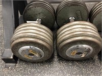 Pair of Troy 100LB Weights