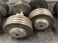 Pair of Troy 90LB Weights