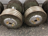 Pair of Troy 85LB Weights