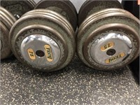 Pair of Troy 75LB Weights
