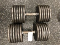 Pair of 120LB Weights