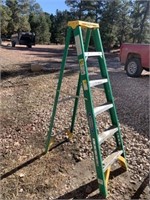 6ft Werner Step Ladder