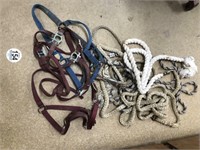 Tag #154 4 lead ropes & 3 large horse halters