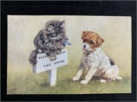 1930's Cat & Dog Tuck & Sons Postcard