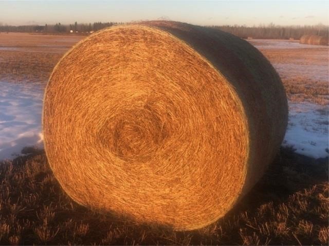 TIMED ONLINE HAY BALE AUCTION