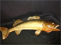Trout Wall Mount