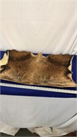 Unknown Animal Hide