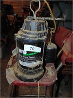 Wayne 1/3 HP Sump Pump