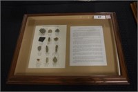 Framed Fossil Collection, Berea Kentucky Region