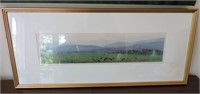 Vintage Photo: Cows in a Pasture, signed G. Taylor