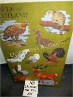 Wildlife of Scotland Linen Art Print - Unframed