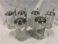 6 Pcs. Glass and Stainless Steel Beer Steins