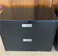 Tw drawer black metal file cabinet, standard files