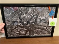 BEAUTIFUL DRAWING OF A TREE IN FRAME