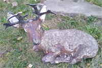 Concrete deer laying down. Dimensions: 12"L x