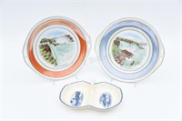 Niagara Falls Collector Plates & Maestricht Dish