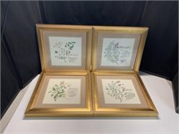 Set of 4 Sage Thyme Rosemary & Parsley pictures