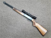 Winchester 190 .22L or LR Rifle