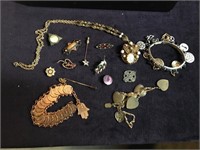 Charm Bracelet-Pins-Necklaces
