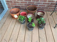 POTS AND PLANTS ALL ONE MONEY