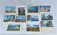 Collection of Landscape Photographs