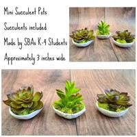 Mini Succulent Pots