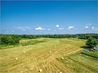 Tract 4- 4.63 Ac open & level, adjoins the pond