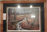 “After the Rain” framed print of Whitetail Deer