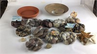 River Rocks/ Planter Plates/Starfish & More