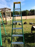 Davidson 7' fibreglass ladder